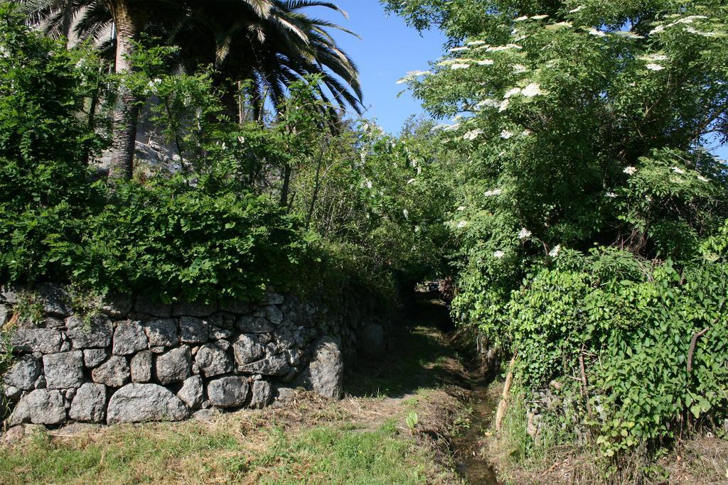 Casa Giacometti Grosseto-Prugna Cameră foto